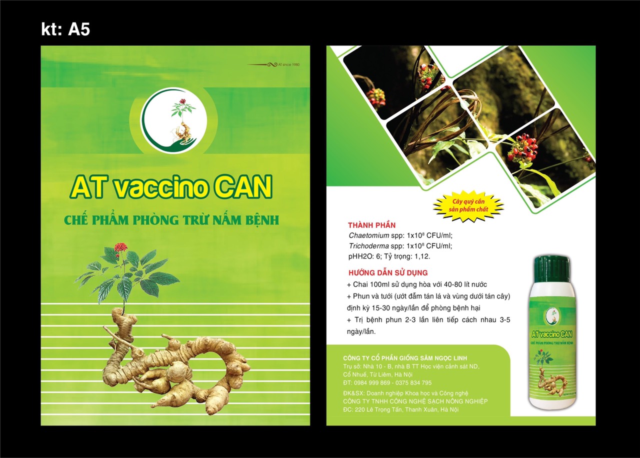 z2613169978344 0a2fa98a33b45a59f81000dedd51f97a