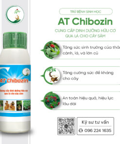 AT Chibozin 3