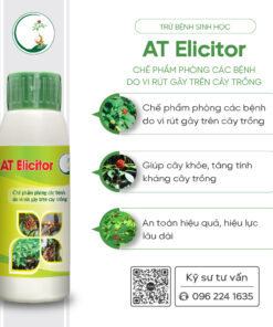 AT Elicitor 1