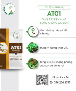 AT01 1