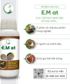 E.M AT 1