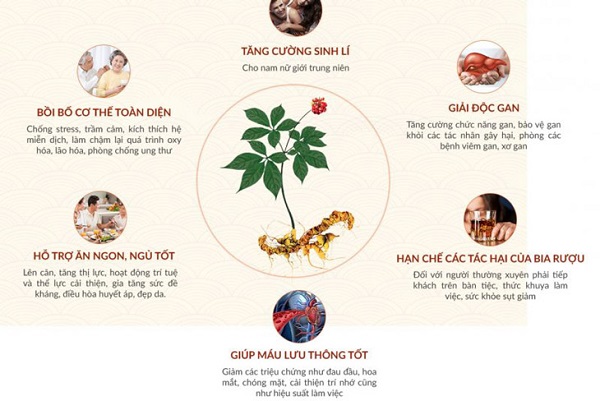 cong-dung-la-sam-ngoc-linh