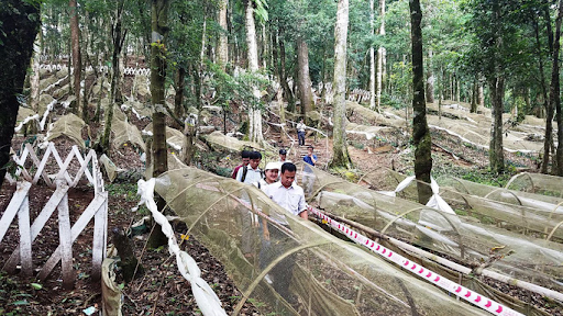 mo-hinh-trong-sam-ngoc-linh-kon-tum