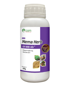 Nema Herb